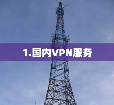 1.国内VPN服务