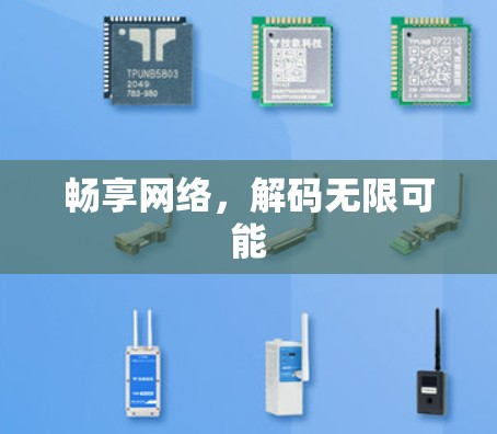 畅享网络，解码无限可能