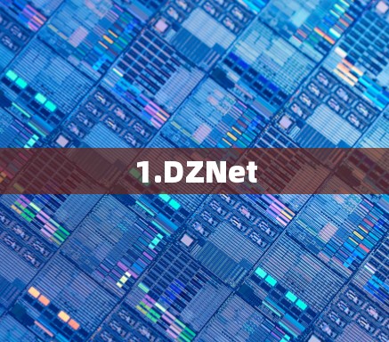 1.DZNet