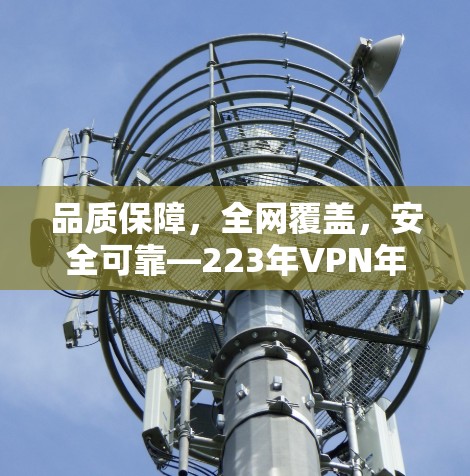 品质保障,全网覆盖,安全可靠—223年VPN年度套餐