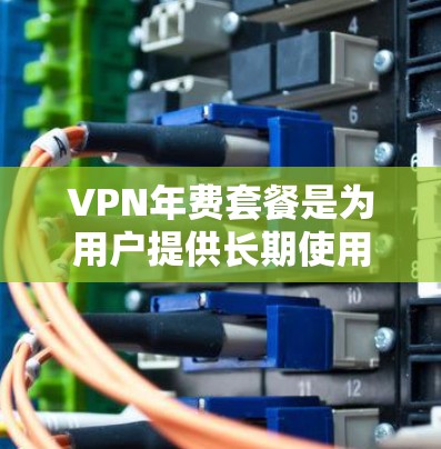 VPN年费套餐是为用户提供长期使用的VPN服务，通常包括固定流量、按小时计费以及多设备连接等多种选项。以下是常见的VPN年费套餐类型和特点