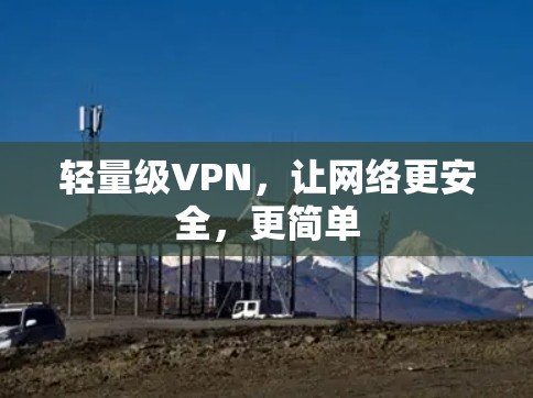 轻量级VPN,让网络更安全,更简单 轻量级VPN,让网络更安全,更简单
