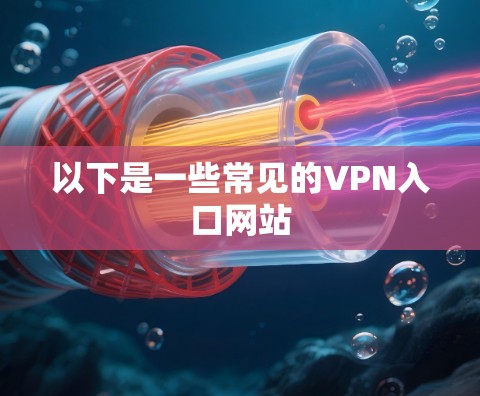 以下是一些常见的VPN入口网站