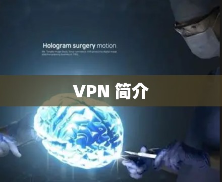 VPN 简介
