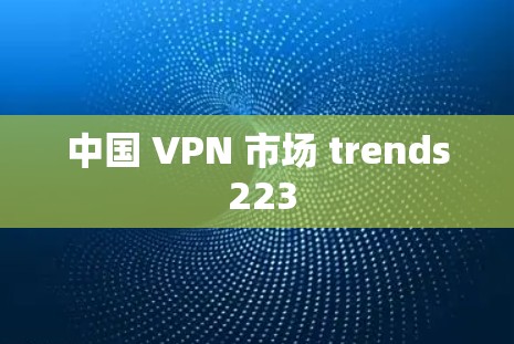 中国 VPN 市场 trends 223