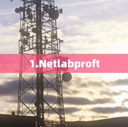 1.Netlabproft 1.Netlabproft