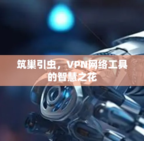 筑巢引虫,VPN网络工具的智慧之花