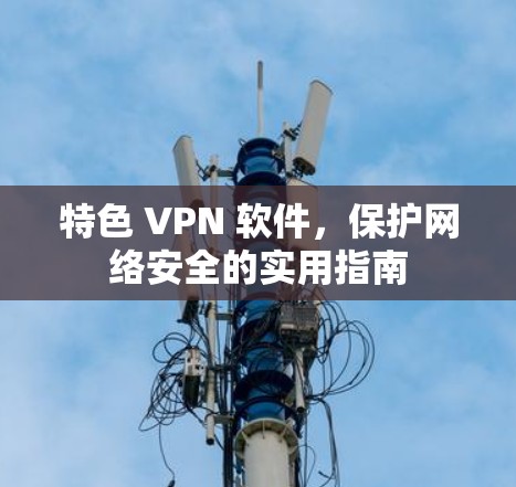特色 VPN 软件，保护网络安全的实用指南