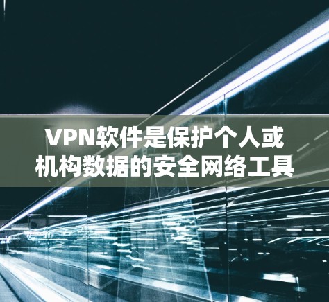 VPN软件是保护个人或机构数据的安全网络工具，主要提供加密传输服务。以下是关于标准版VPN软件的详细分析
