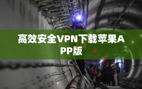 高效安全VPN下载苹果APP版