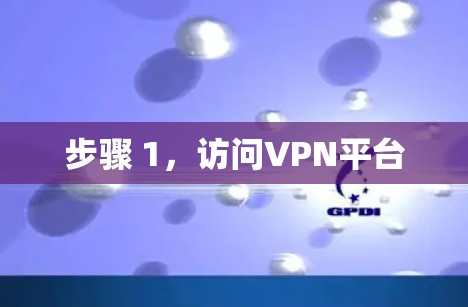 步骤 1，访问VPN平台