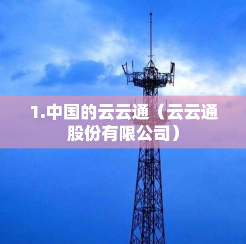 1.中国的云云通（云云通股份有限公司）