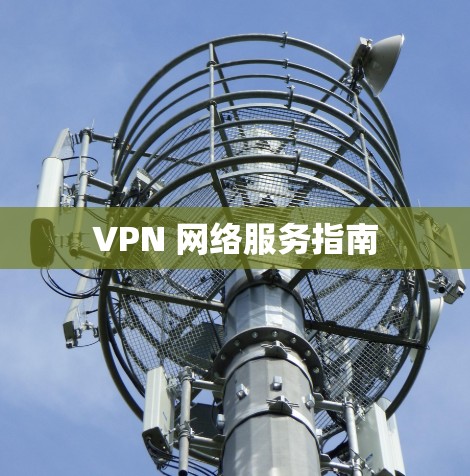 VPN 网络服务指南