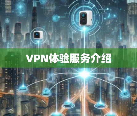 VPN体验服务介绍