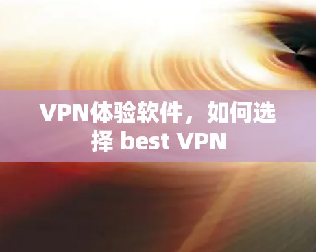 VPN体验软件,如何选择 best VPN VPN体验软件,如何选择 best VPN
