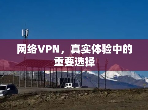 网络VPN，真实体验中的重要选择