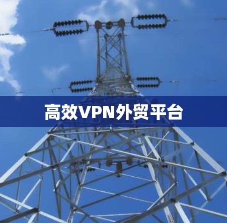 高效VPN外贸平台
