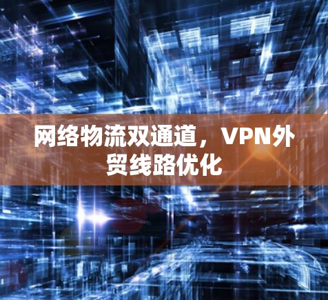 网络物流双通道，VPN外贸线路优化
