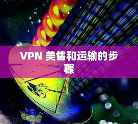 VPN 美售和运输的步骤