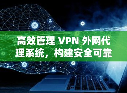 高效管理 VPN 外网代理系统，构建安全可靠的网络环境