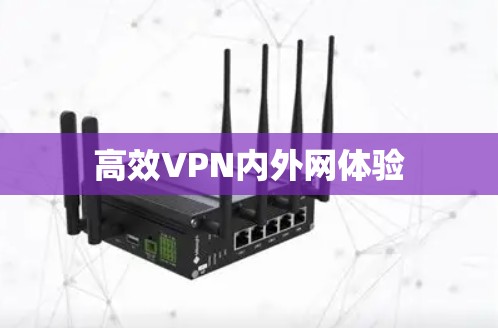 高效VPN内外网体验 高效VPN内外网体验