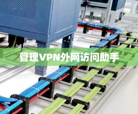 管理VPN外网访问助手