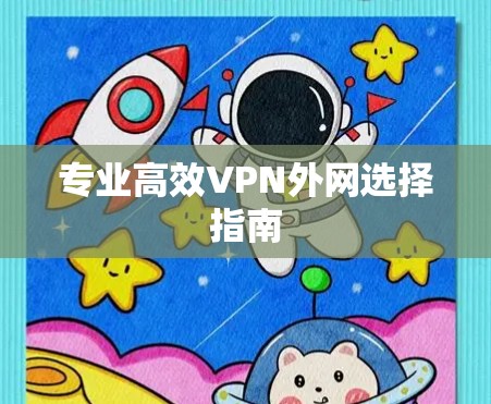 专业高效VPN外网选择指南 专业高效VPN外网选择指南