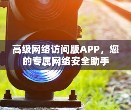 高级网络访问版APP,您的专属网络安全助手 高级网络访问版APP,您的专属网络安全助手