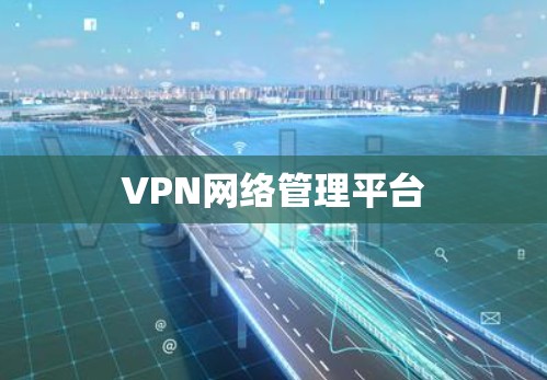 VPN网络管理平台 VPN网络管理平台