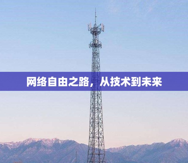 网络自由之路，从技术到未来