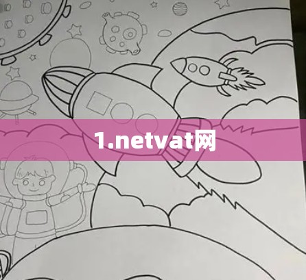 1.netvat网